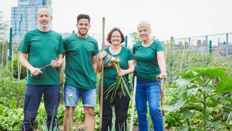 Solidarity vegetable gardens