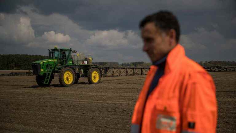 Stolen grain, destroyed farms and blocked ports… The Ukrainian granary is not spared by the Russian forces