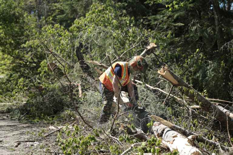 Trails heavily damaged by the storm