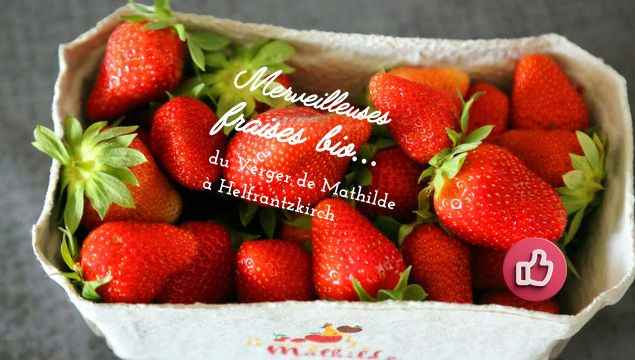 Strawberries from Verger de Mathilde