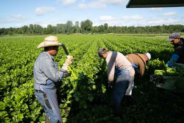 Temporary foreign workers |  Rights will be better protected in Quebec