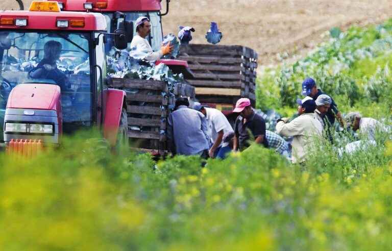 Temporary workers too “captive” of their jobs to learn French