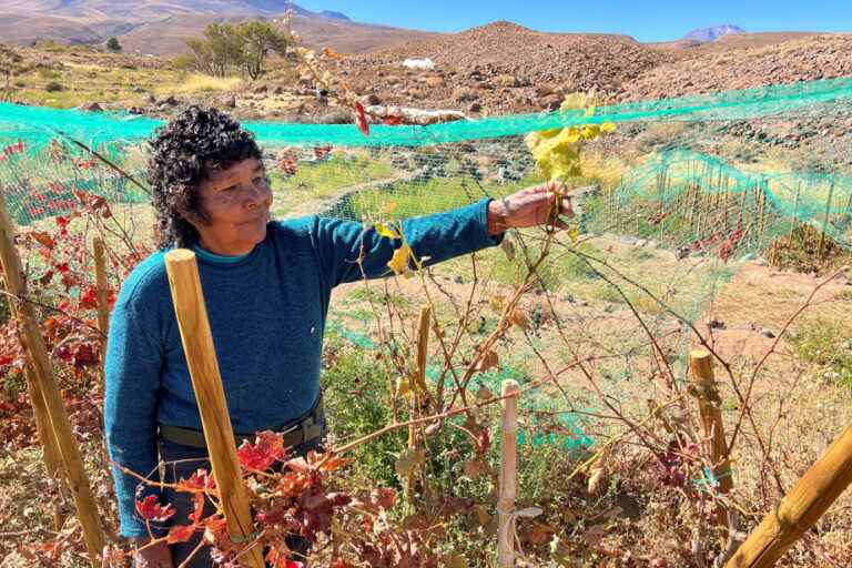 The Atacama desert in a glass of wine