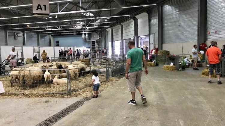 The Besançon Comtoise Fair is coming to an end