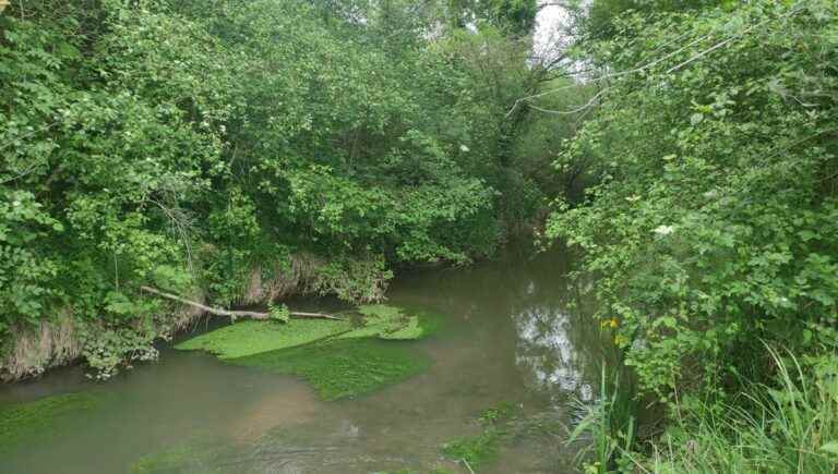 The Enéa, a river that crosses Saint-Vincent-le-Paluel