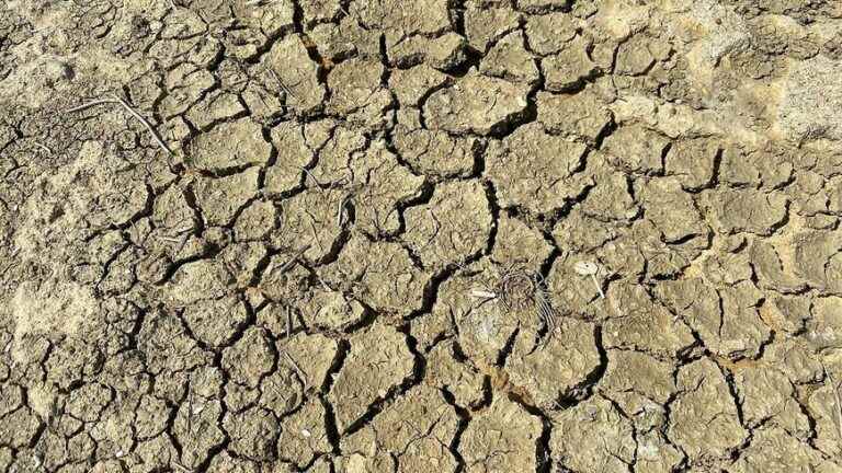 The Indre prefecture takes new measures to limit the drought