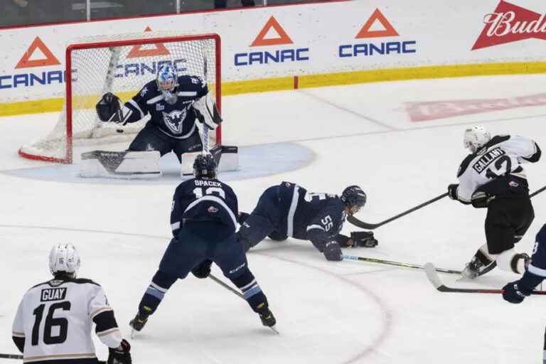 The Islanders eliminate the Phoenix and advance to the QMJHL final