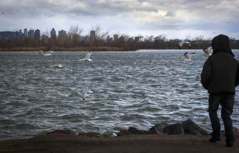 The Montreal Metropolitan Community opposes the Chalk River nuclear storage project