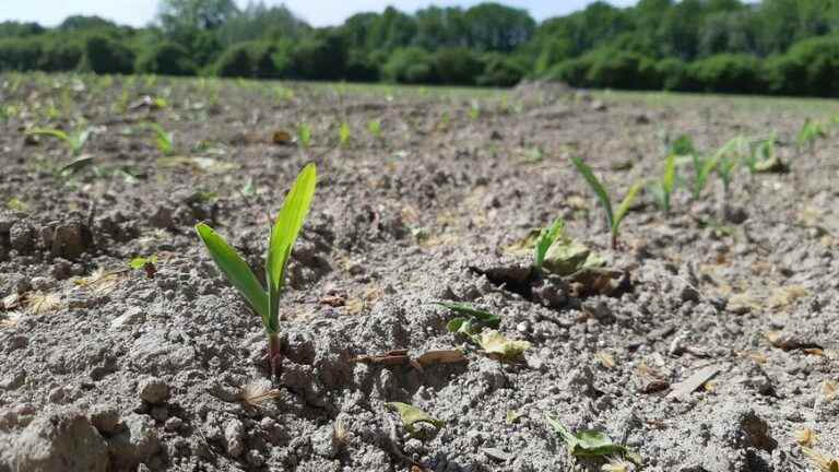 The North is on drought alert