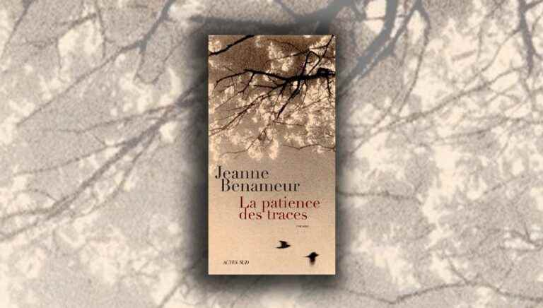 “The Patience of Traces” by Jeanne Benameur