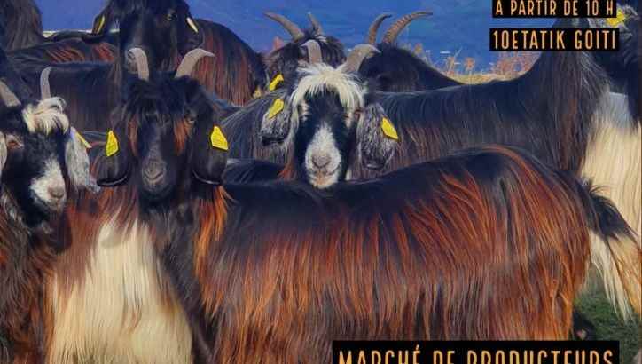 The Pyrenean goat festival in Saint-Jean-de-Luz