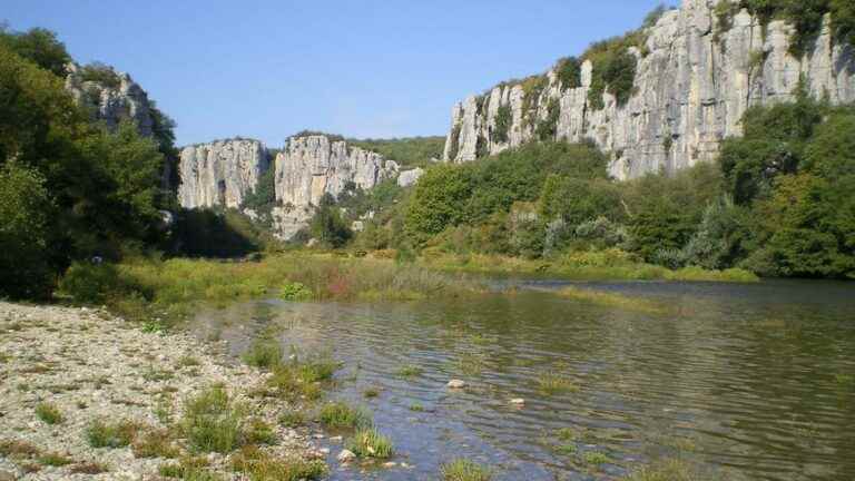 The Rhône apron, the sentinel of our waterways