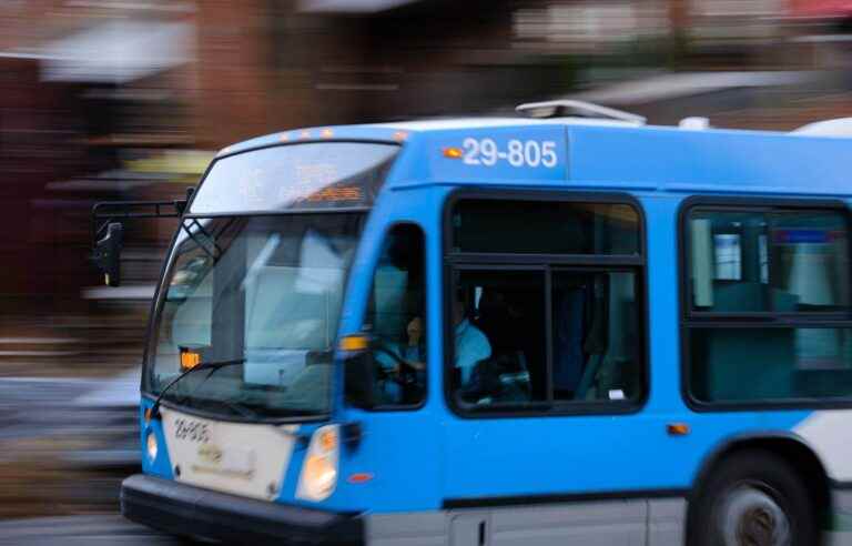 The STM still blamed by the Office of Inspector General