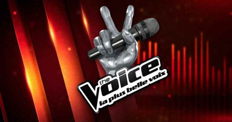 The Voice: A pregnant ex-candidate, photo of her baby bump and touching secrets