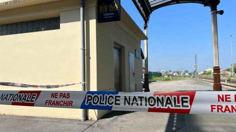 The alleged mother of the baby found dead at Bergerac station placed in police custody