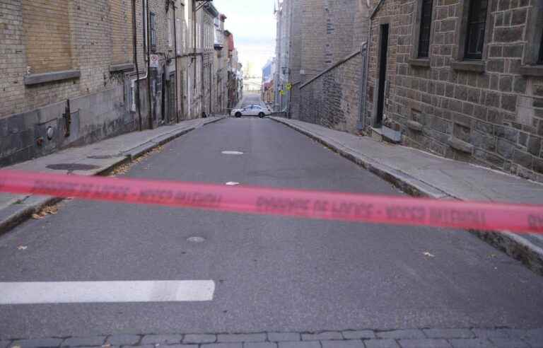 The author of the killing in Old Quebec was not delirious, maintains an expert