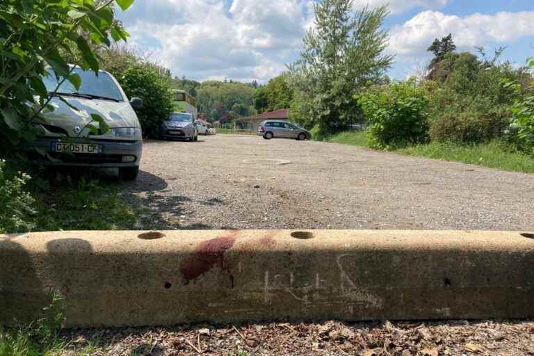 The body of a strangled woman discovered in a car in the heart of Lyon: the suspect surrendered