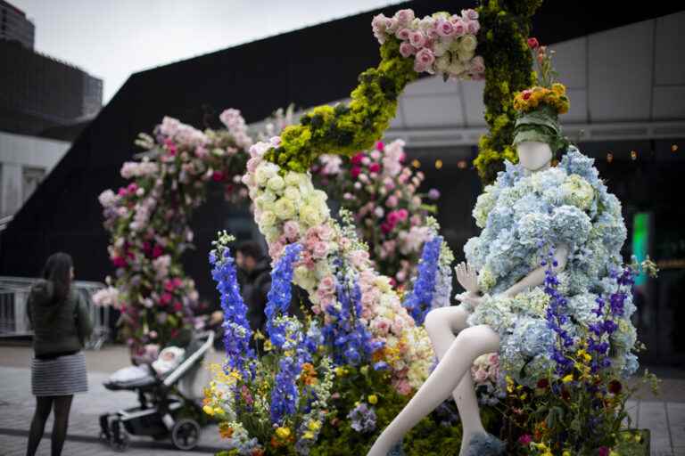 The exhibition Women |  A tribute in flowers