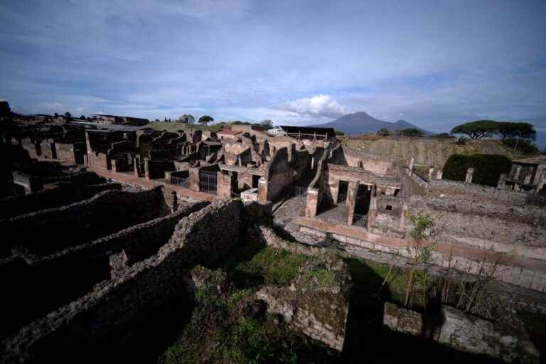 The genome of a victim of Pompeii is sequenced for the first time