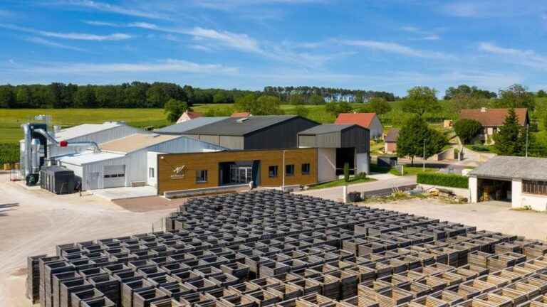 The new eco – Near Beaune, the Meyrieux cooperage sells its barrels all over the world