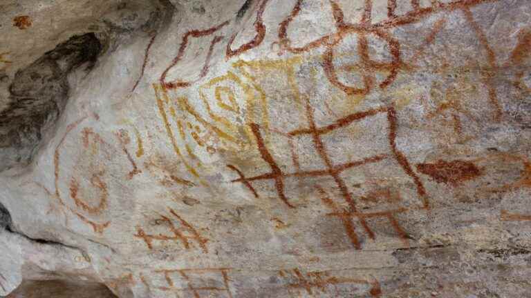 The remains of a vanished civilization discovered in the Amazon