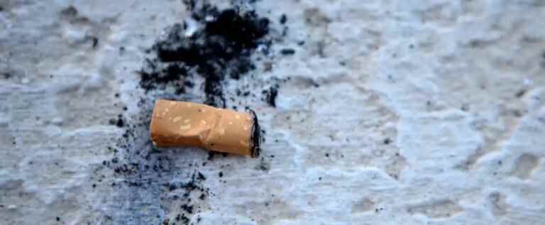 The tobacco industry, a “poison” also for the environment, according to the WHO