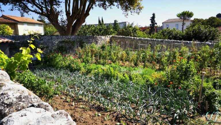 The vegetable garden of Clair de la Plume