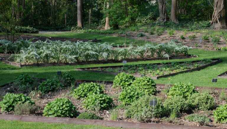 The vegetable garden of the Assiette Champenoise ***