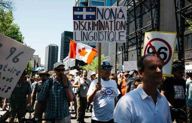 Thousands of demonstrators protest against law 96 in Montreal