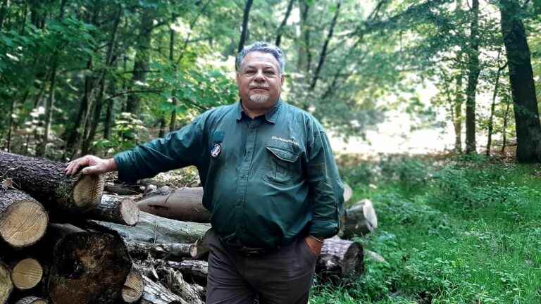 Threats, insults, sabotage… foresters denounce repeated attacks