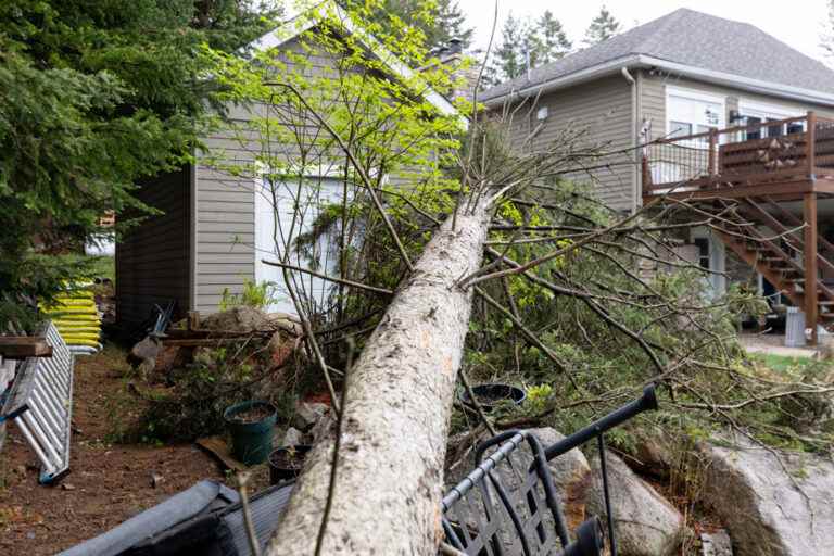 Thunderstorms kill 9 in Ontario and Quebec