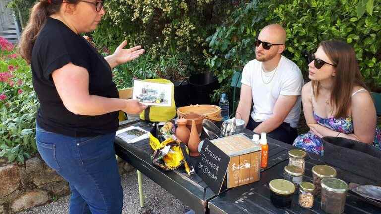 To discover urban agriculture in Paris, workshops to make vegetable gardens on your balcony