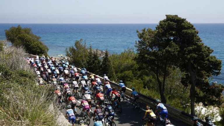 Tom Dumoulin has given up, no breakaway at the front… Follow the 14th stage