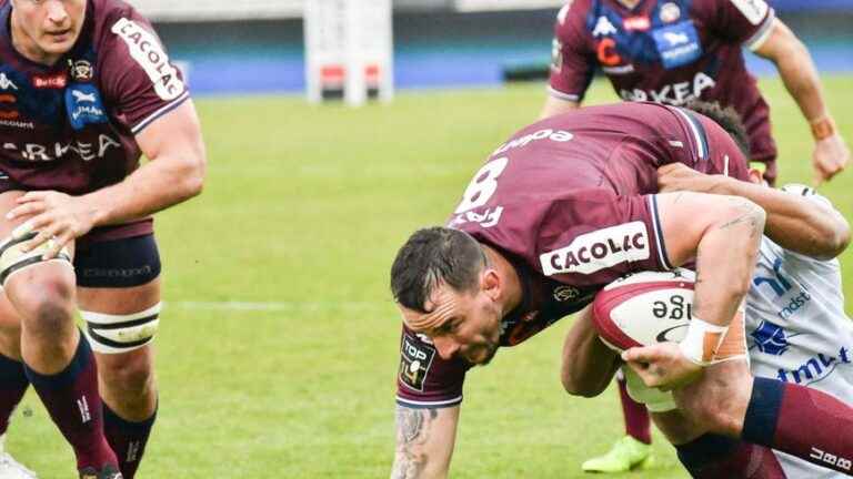 Top 14 – UBB: concern for Picamoles