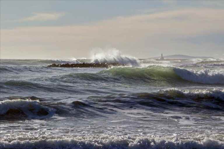 Two young people die of drowning in Narbonne-plage