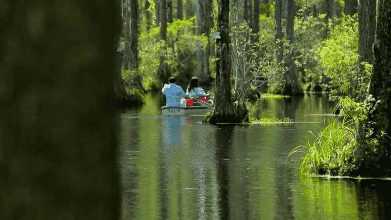 United States: Cypress Garden Park, an aquatic labyrinth