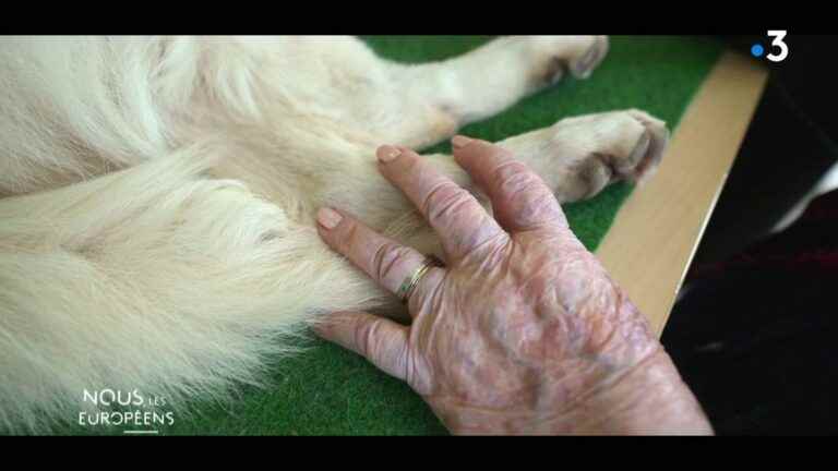 VIDEO.  Animal mediation workshops in retirement homes to bring moments of pleasure and calm