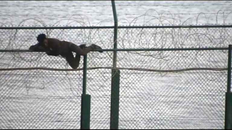 Video “It’s like hooks for fishing, the tip goes into the skin, but does not come out”: these aggressive barbed wire that equip more and more borders