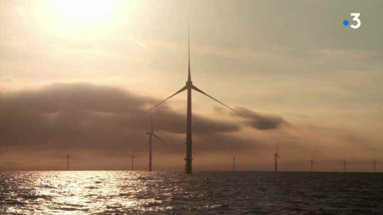 “We Europeans”.  Wind turbines at sea: the revolution – France 3 – May 15, 2022