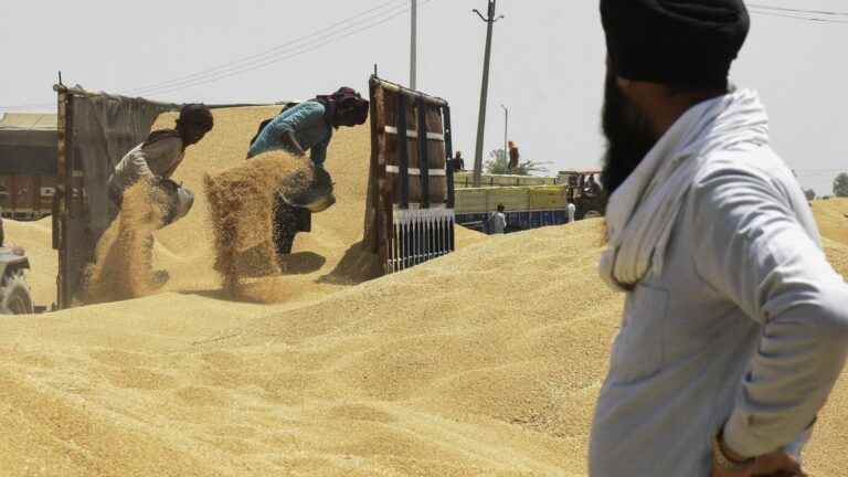 “We are entering a summer full of uncertainties”, says an expert after India’s ban on wheat exports