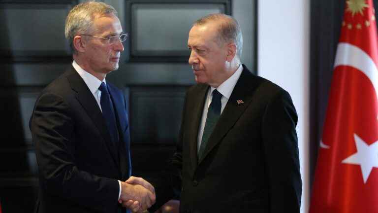 Why Turkey opposes Sweden and Finland joining NATO