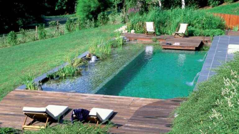 Why not a natural organic swimming pool?