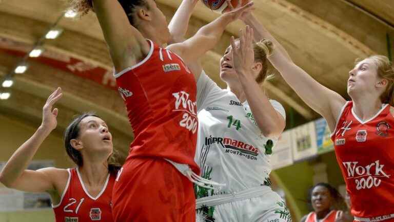 Women’s basketball – Ligue 2: a first final match “without pressure” for the BCTM against Toulouse