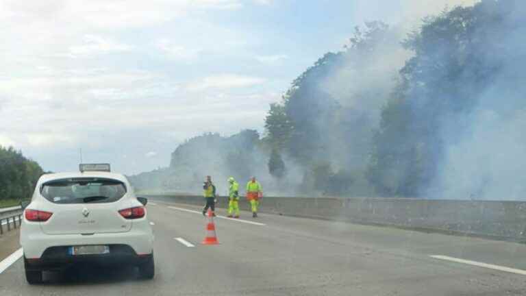 a major forest fire along the A84