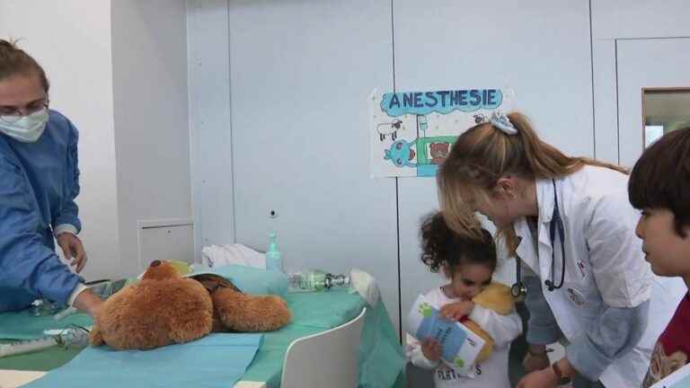 a teddy bear clinic repairs comforters in Lille