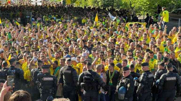 after 22 years of scarcity, Canary supporters relish their return to the final