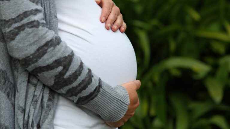 five complaints filed against the delivery under X in France of Ukrainian surrogate mothers