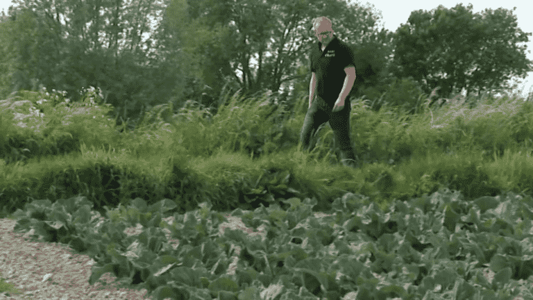 in the Pas-de-Calais, the marsh not spared by the drought