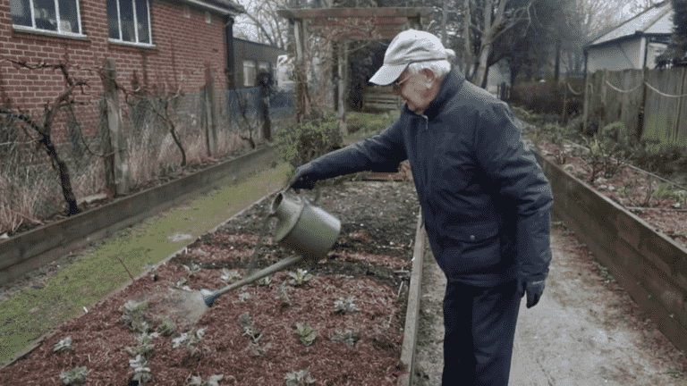 in the United Kingdom, green therapies where you cultivate your garden to get better