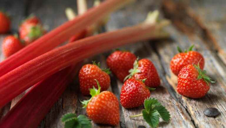 it grows well in our gardens and we are going to cook it with Denis Tabouillot chef in Lunéville